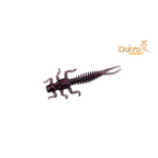 DOIYO S'zuki Tonbo Larva 60